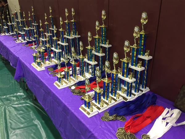 Dozens of trophies and ribbons sitting on a table with a purple tablecloth.